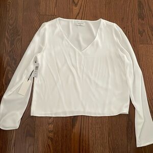 Aritzia Babaton Murphy longsleeve blouse